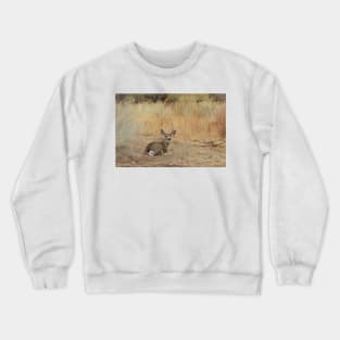 Deer, Wildlife, Mule Deer, Buck, Nature, Gifts Crewneck Sweatshirt